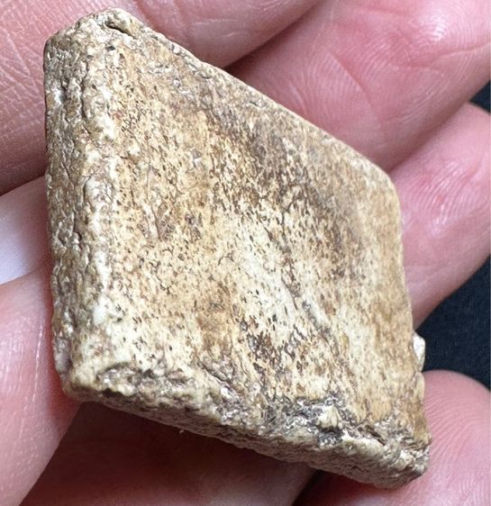 🙏พระสมเด็จพิมพ์ใหญ่ เนื้อแตกลายงา🙏พระสมเด็จเร่้อสวย องค์ละ 1250 รูปที่ 8