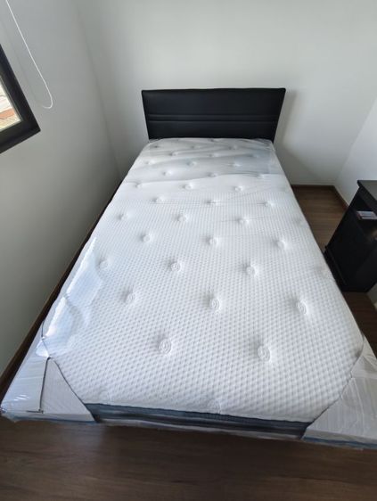 ที่นอน Lady Americana Elegant รูปที่ 3