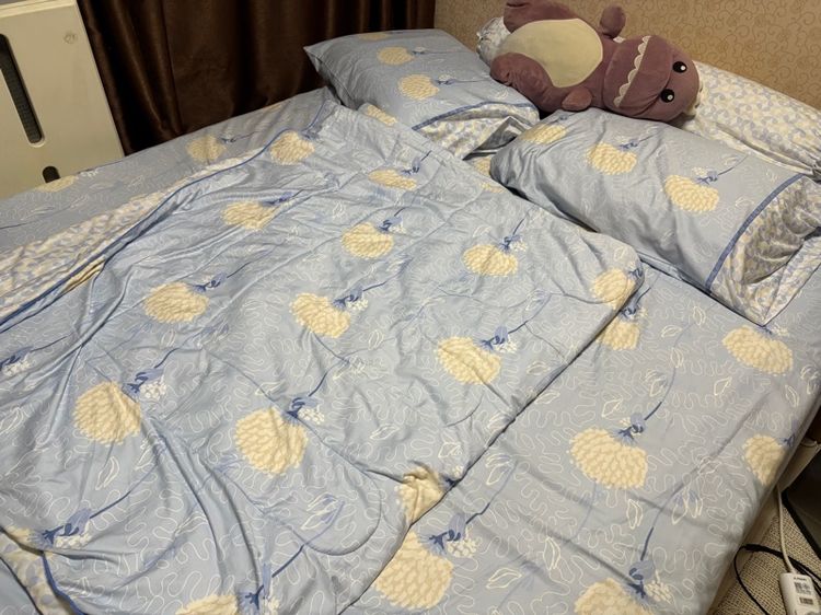 ควีน ที่นอนฟูก Dunlopillo 5ฟุต