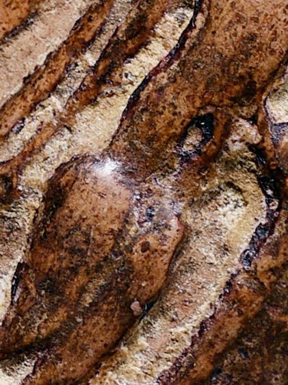 สวยมาก ให้เช่าบูชา พระกำแพงลีลา เม็ดขนุน กรุลานทุ่งเศรษฐี จ.กำแพงเพชร เนื้อดิน รูปที่ 3