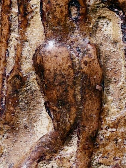 สวยมาก ให้เช่าบูชา พระกำแพงลีลา เม็ดขนุน กรุลานทุ่งเศรษฐี จ.กำแพงเพชร เนื้อดิน รูปที่ 10