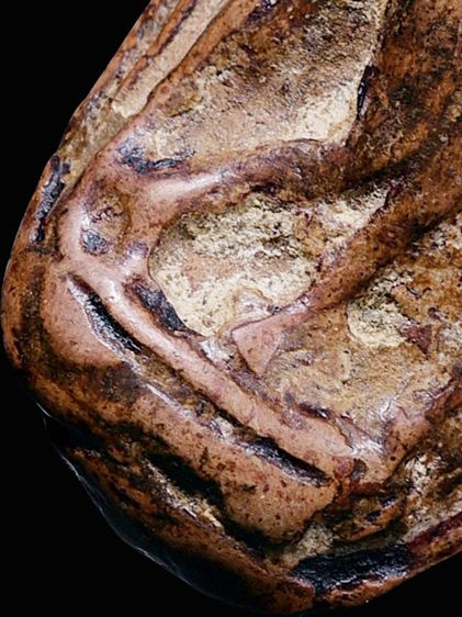 สวยมาก ให้เช่าบูชา พระกำแพงลีลา เม็ดขนุน กรุลานทุ่งเศรษฐี จ.กำแพงเพชร เนื้อดิน รูปที่ 5