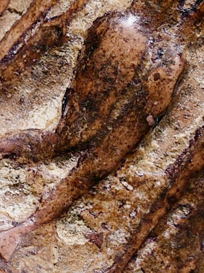 สวยมาก ให้เช่าบูชา พระกำแพงลีลา เม็ดขนุน กรุลานทุ่งเศรษฐี จ.กำแพงเพชร เนื้อดิน รูปที่ 4