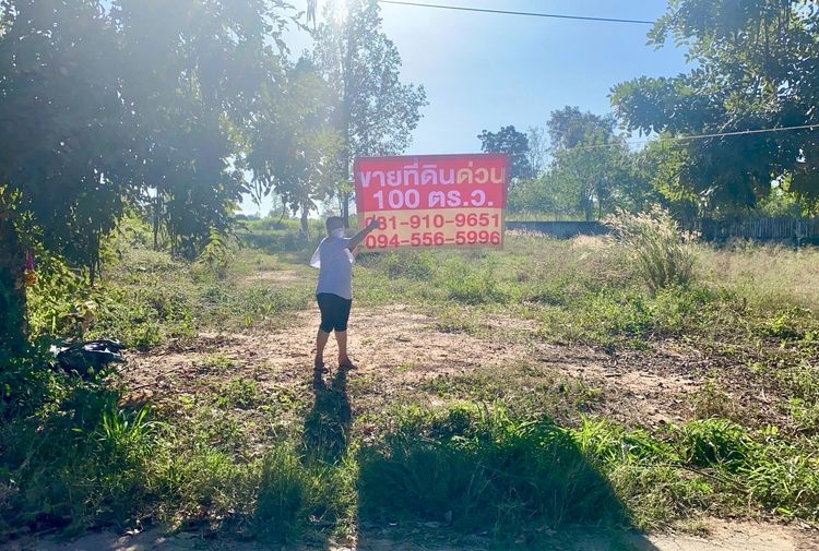 ขายที่ดินขอนแก่น สวย 100 ตรว อ.กระนวน ที่ดิน หน้ากว้าง 13-14 เมตร มีโฉนด