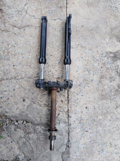 ฟีโน่.มีโอ​แท้​ รูปที่ 4