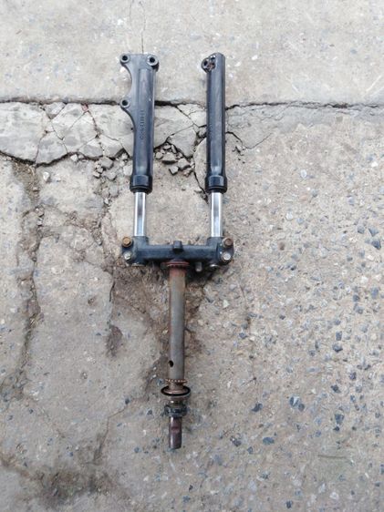 ฟีโน่.มีโอ​แท้​ รูปที่ 6