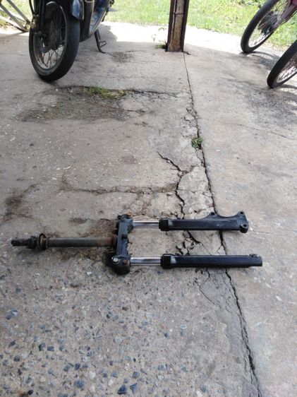 ฟีโน่.มีโอ​แท้​ รูปที่ 5