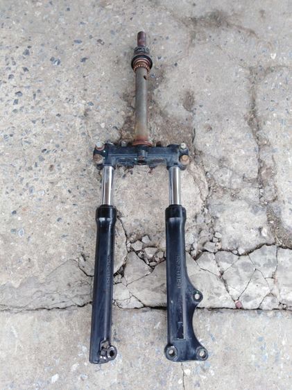 ฟีโน่.มีโอ​แท้​