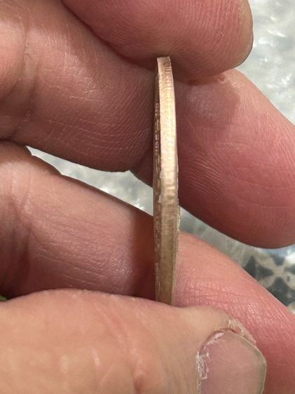 	เหรียญไก่เจริญพร ลป.สรวง เนื้อเงินลงยา ปี55 รูปที่ 9