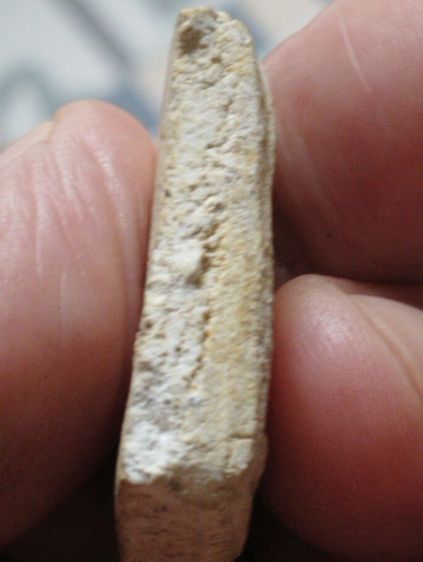 พระสมเด็จหูบายศรีหลวงพ่อชาญณรงค์กรุวัดลาดบัวขาวปี๘๕ รูปที่ 8