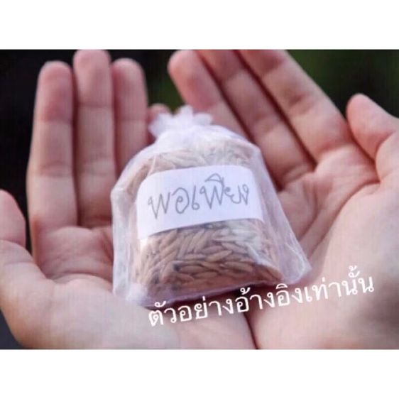 1 ถุง ถุงข้าวเปลือก"พอเพียง"ที่ระลึกถวายบังคมพระบรมศพ ในหลวง รัชกาลที่ ๙ พระบิดาแห่งการพัฒนาข้าว บูชาเพื่อเป็นสิริมงคล รูปที่ 9