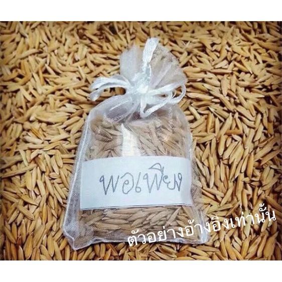 1 ถุง ถุงข้าวเปลือก"พอเพียง"ที่ระลึกถวายบังคมพระบรมศพ ในหลวง รัชกาลที่ ๙ พระบิดาแห่งการพัฒนาข้าว บูชาเพื่อเป็นสิริมงคล รูปที่ 8