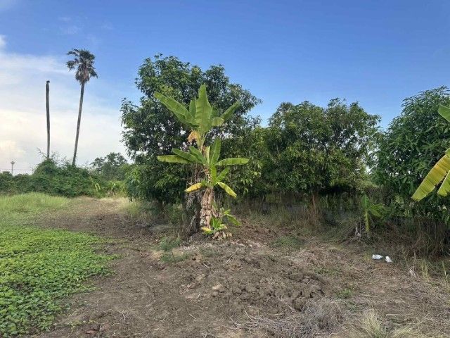 บ้าน รูปที่ 2