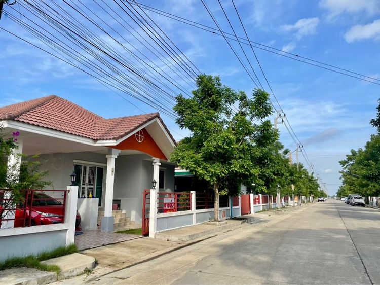 บ้านเดี่ยว 