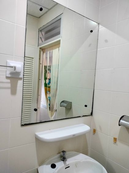 Land and Houses เลี้ยงสัตว์ได้ ทาวเฮ้าส์ รูปที่ 4