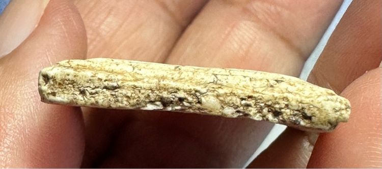 🙏พระสมเด็จพิมพ์ใหญ่ เนื้อดี🙏พระสมเด็จพิมพ์เส้นด้าย🙏พระสมเด็จพิมพ์ใหญ่ องค์ละ1000 รูปที่ 12