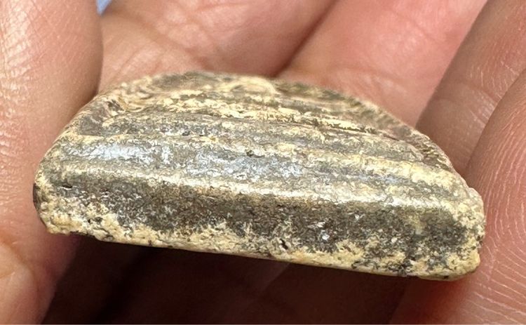 🙏พระสมเด็จพิมพ์ใหญ่ เนื้อเก่า🙏พระสมเด็จ พิมพ์ใหญ่พระประธาน องค์ละ1000 รูปที่ 5