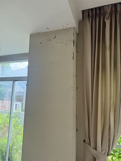 อื่นๆ ไม่มี สร้างเสร็จก่อน 2010 🏡 ขายบ้านเดี่ยว สภาพดี โครงการกฤษณา ราชพฤกษ์ นนทบุรี รูปที่ 3