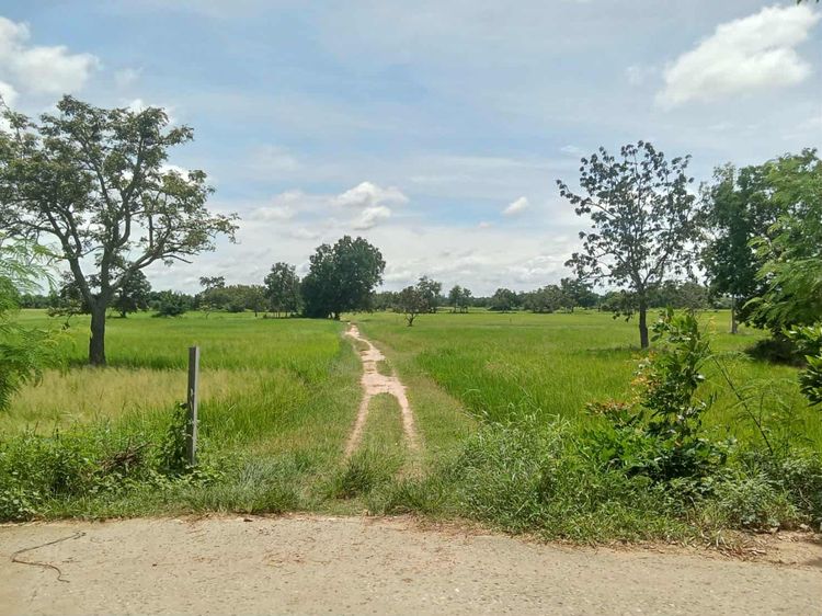 ขายที่ดินโฉนดที่สวย 15 ไร่ 2 งาน 39 ตร.ว ด่านขุนทด นครราชสีมาใกล้ชุมชมน้ำไฟพร้อ รูปที่ 3