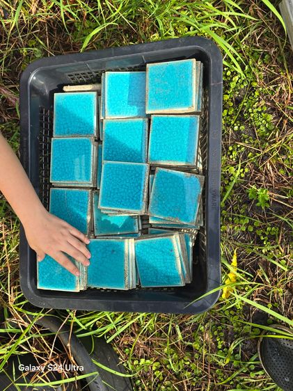 กระเบื้องสระว่ายน้ำขนาด 4×4 รูปที่ 9