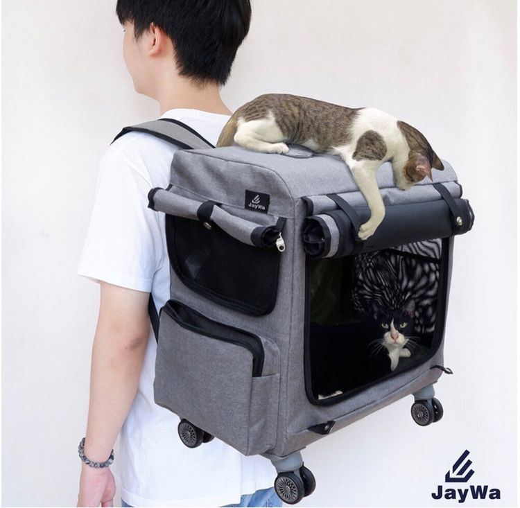 ปล่อยต่อ กระเป๋าแมวล้อลากสะพายได้