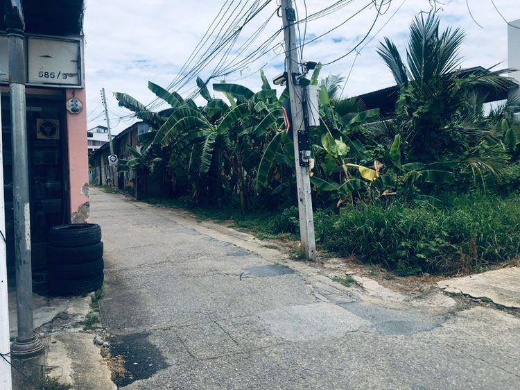 ขายที่ดิน  รูปที่ 4