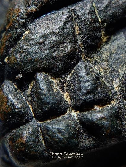 หลวงปู่ทวดเตารีดปี05 สภาพเก็บสวยผิวเดิมๆ  รูปที่ 16