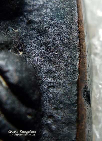 หลวงปู่ทวดเตารีดปี05 สภาพเก็บสวยผิวเดิมๆ  รูปที่ 7