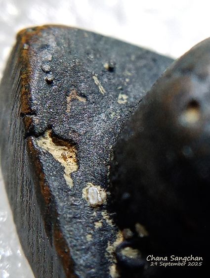 หลวงปู่ทวดเตารีดปี05 สภาพเก็บสวยผิวเดิมๆ  รูปที่ 6