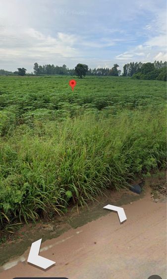 ขายที่ดิน278ไร่ ใกล้ท่าเรือแหลมฉบัง เพียง10กม.  รูปที่ 3