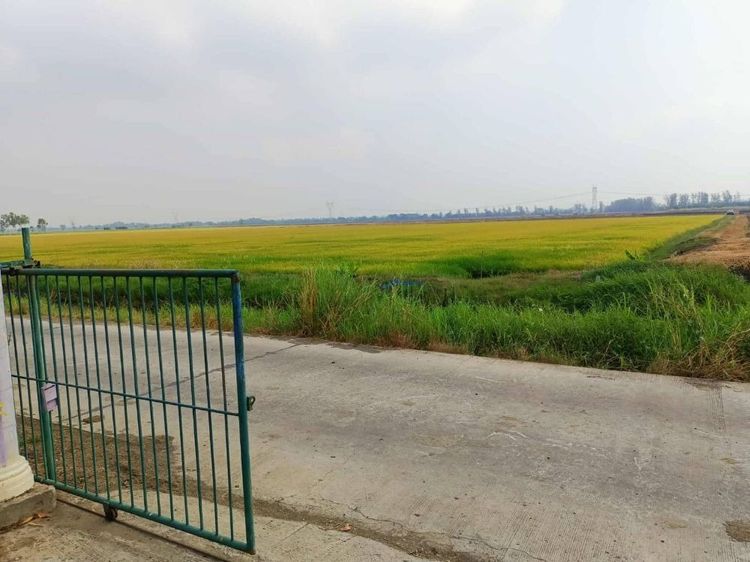 ขายที่ดินสวยถมแล้ว 209 ตรว. พร้อมโฉนด ทำเลดี เดินทางสะดวก บ้านท้ายลาด ลพบุรี ( เจ้าของขายเอง ) รูปที่ 4