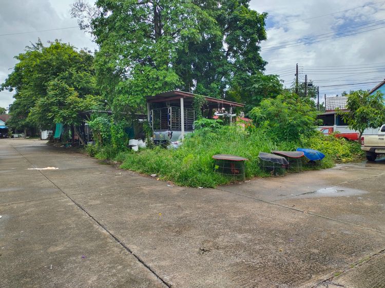 ขายที่ดินในหมู่บ้าน บ้านสวยเกาะขวาง 57ตร.วา ซ.เกาะขวาง12 ต เกาะขวาง อ.เมืองจันทบุรี จันทบุรี