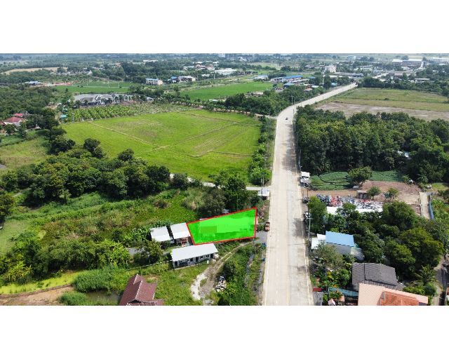 🏡 ขายที่ดินทำเลทอง ติดถนนใหญ่ ปทุมธานี
📍 ถนนบ้านปทุม – เชียงราก


📞 สนใจติดต่อ คุณโย
โทร0861239951 รูปที่ 4