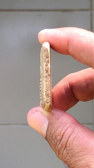 พระสมเด็จเกศไชโย พิมพ์ 7 ชั้น รูปที่ 3