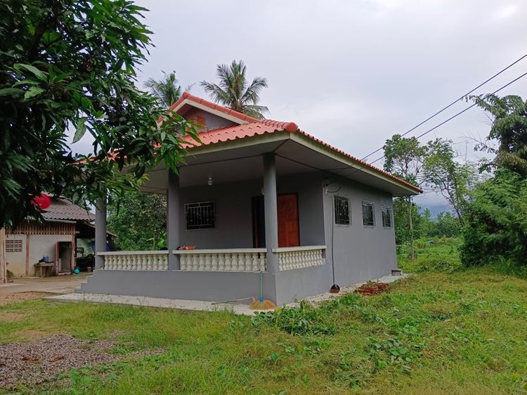 มีบางส่วน 2022 🏡 ขายบ้านพร้อมที่ดิน บ้านวังกวางเหนือ อ.วังชิ้น จ.แพร่ รูปที่ 3