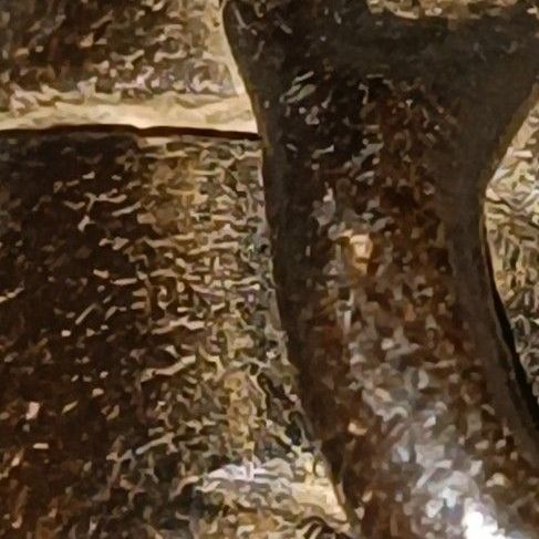 พระปิดตาหลวงพ่อแก้ว  รูปที่ 10