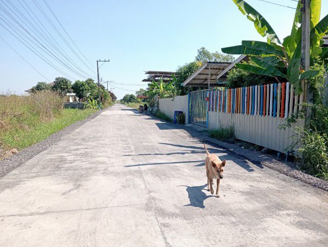 บ้านพร้อมที่ดิน 100ตรว.1,350,000