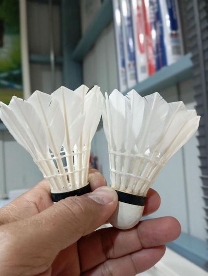 ไม่ระบุ อื่นๆ ลูกแบดมินตันมือสอง