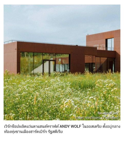 แว่นตาลักซ์ชัวรีแบรนด์อิสระจากออสเตรียที่โดดเด่นที่สุด ANDY WOLF เลนส์กระจกคริสตัลไฮ–คลาสญี่ปุ่น FLYING HORUS สีน้ำตาล–ตอร์ติญ่า...Authentic ANDY WOLF handcrafted in Morez, Jura Mountains, France
 รูปที่ 17