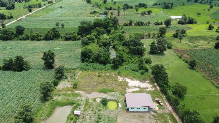 ขายที่ ผ่อนได้ ไม่ต้องใช้เงินดาว์น วิวเขา ชัยนาท รูปที่ 4