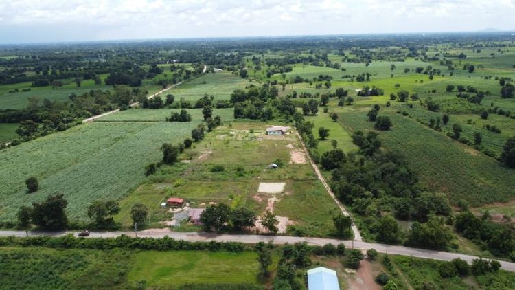 ขายที่ ผ่อนได้ ไม่ต้องใช้เงินดาว์น วิวเขา ชัยนาท รูปที่ 3