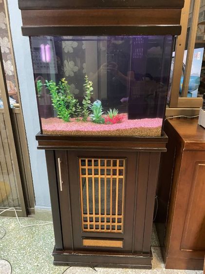 ไม้ ตู้ปลา