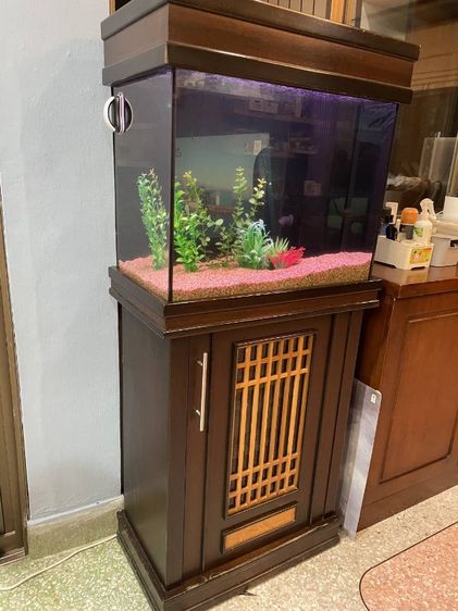 ตู้ปลา รูปที่ 2