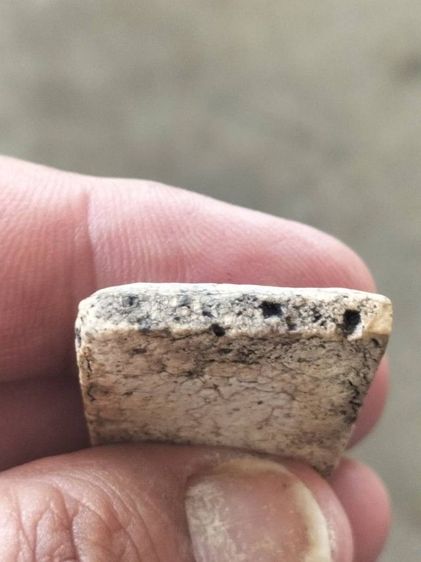 สมเด็จวัดระฆังพิมพ์เจดีย์ รูปที่ 9