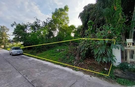 ขายที่สันกำแพง ขายที่ดินเปล่า 283ตรว. ใจกลางสันกำแพงปาร์ควิว ตรว ละ 9,900 บ. รูปที่ 4