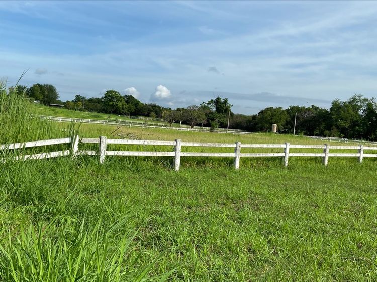 ที่ดิน รูปที่ 4