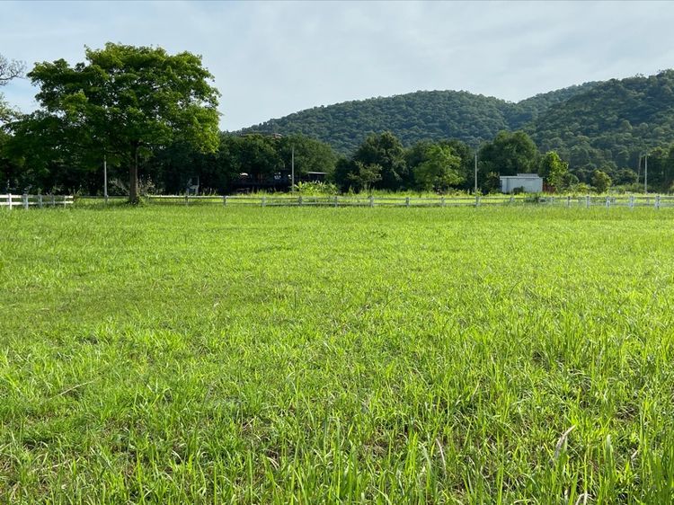 ที่ดิน รูปที่ 3