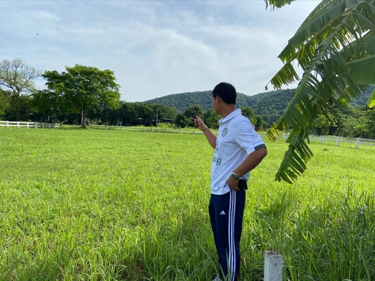 ที่ดิน รูปที่ 2