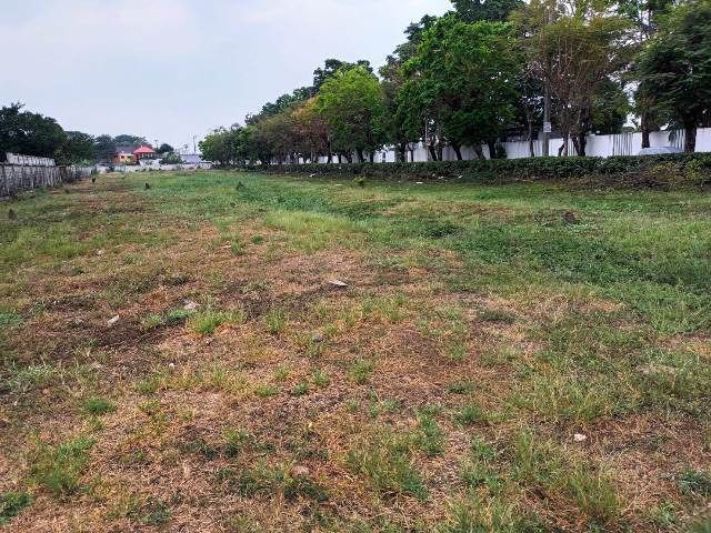 ไม่ใช่ ขายที่ดินในซอยสุขาภิบาล5 ซอย82 รูปที่ 2