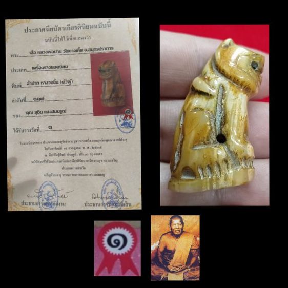 เสือหลวงพ่อปาน พิมพ์อ้าปากตัวผู้ ตัวใหญ่สง่า